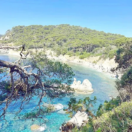 Beautiful Giens Peninsula Дом отдыха